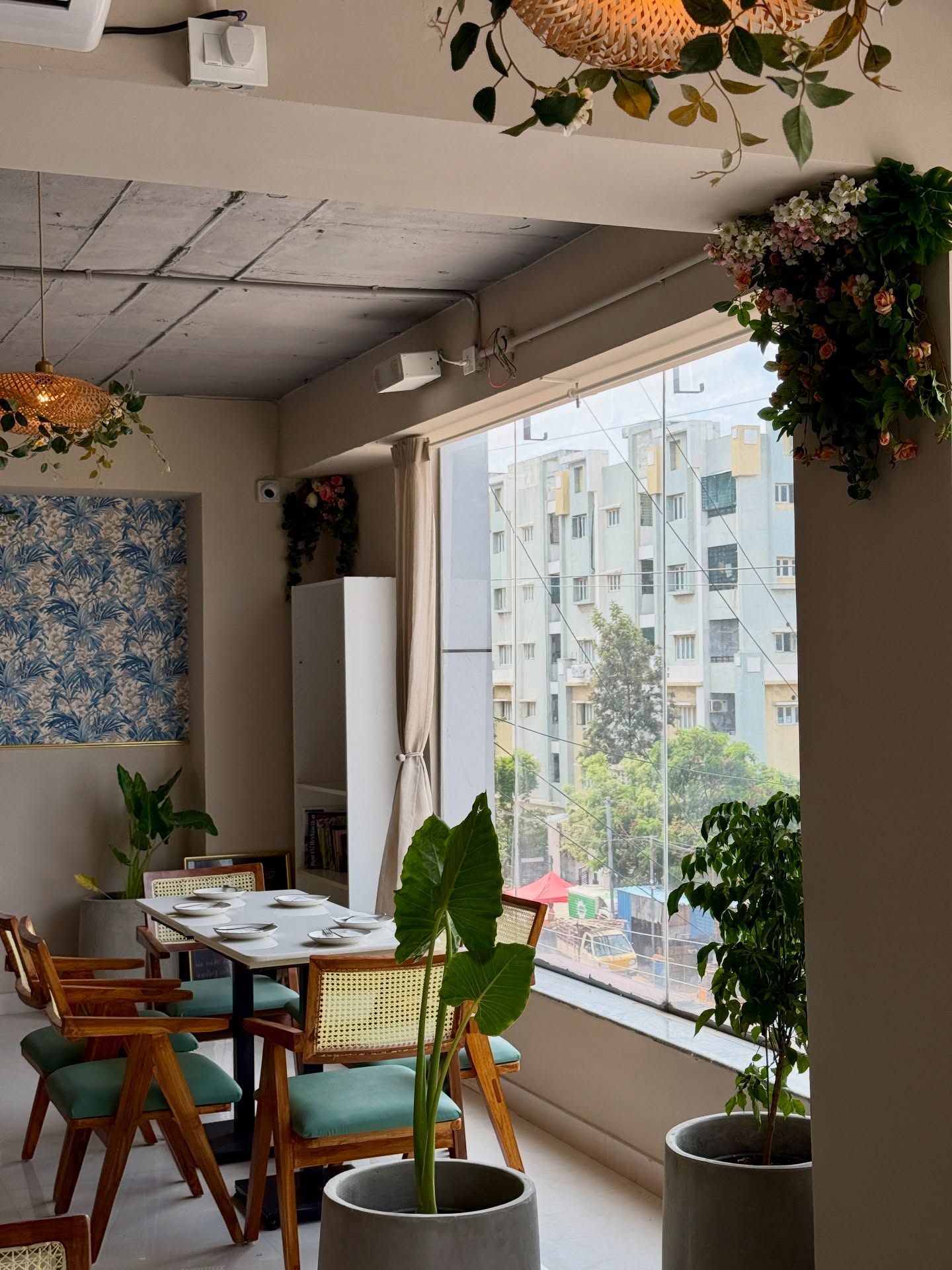 Sunlit window seating and plants at Kami Hyderabad